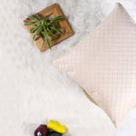 Load image into Gallery viewer, Both Side Quilted Velvet Cushion Cover (Set of 2), Beige