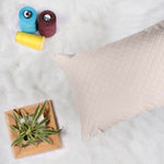 Load image into Gallery viewer, Both Side Quilted Velvet Rectangular Cushion Cover (Set of 2), Beige