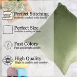 Load image into Gallery viewer, Soft Luxurious Velvet Cushion Covers Set of 2, Mehndi