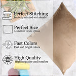 Load image into Gallery viewer, Soft Luxurious Velvet Cushion Covers Set of 2, Brown
