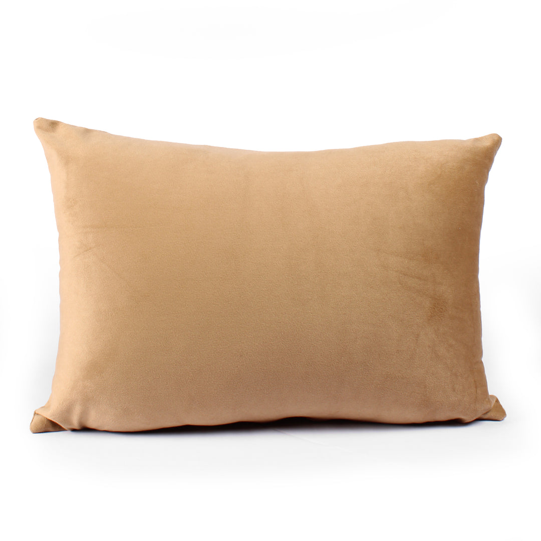 Soft Luxurious Velvet Cushion Covers Rectangular Set of 2 ,Brown