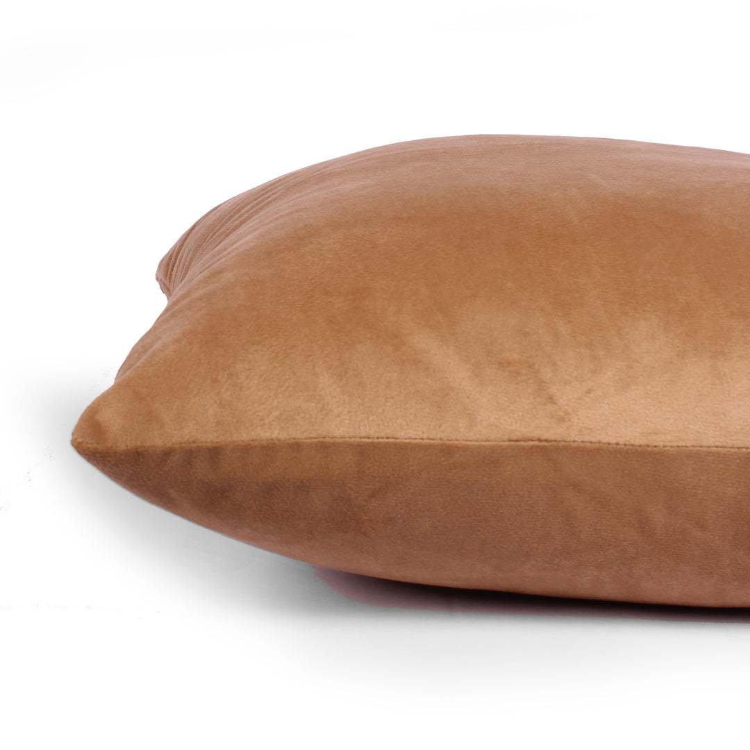 Soft Luxurious Velvet Cushion Covers Set of 2, Brown